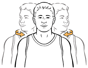 Demonstration of head rotations.